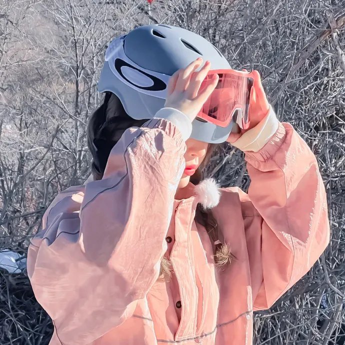 征服太阳国语